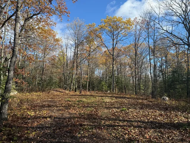 $480,000 | Tbd French Road, Chisholm, MN 55719