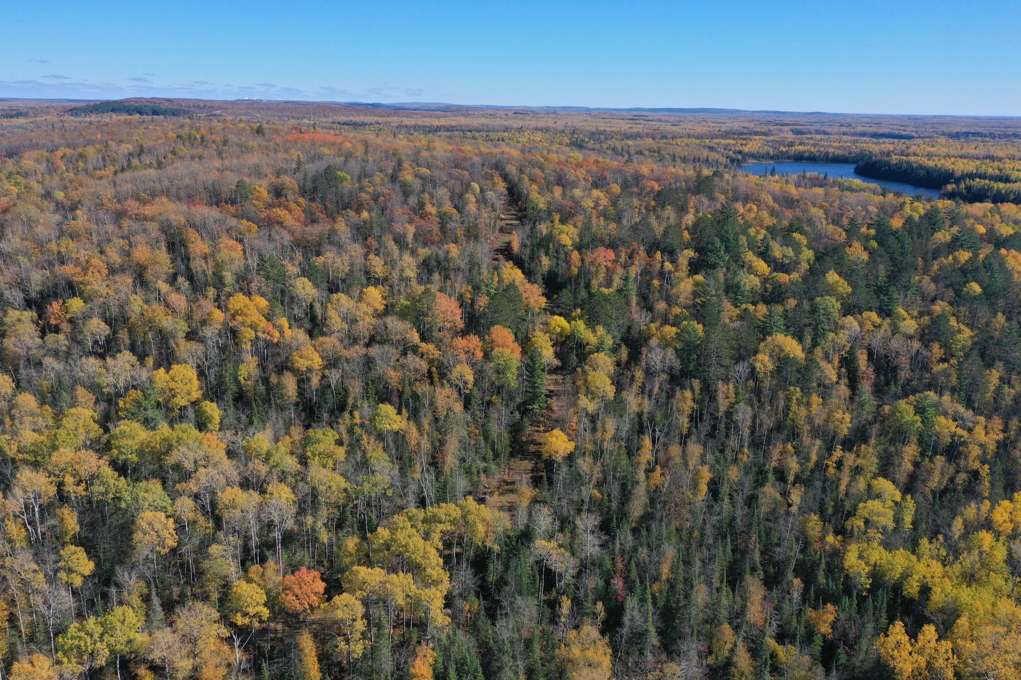 Tbd French Road Chisholm, MN 55719 - Photo 3 of 104