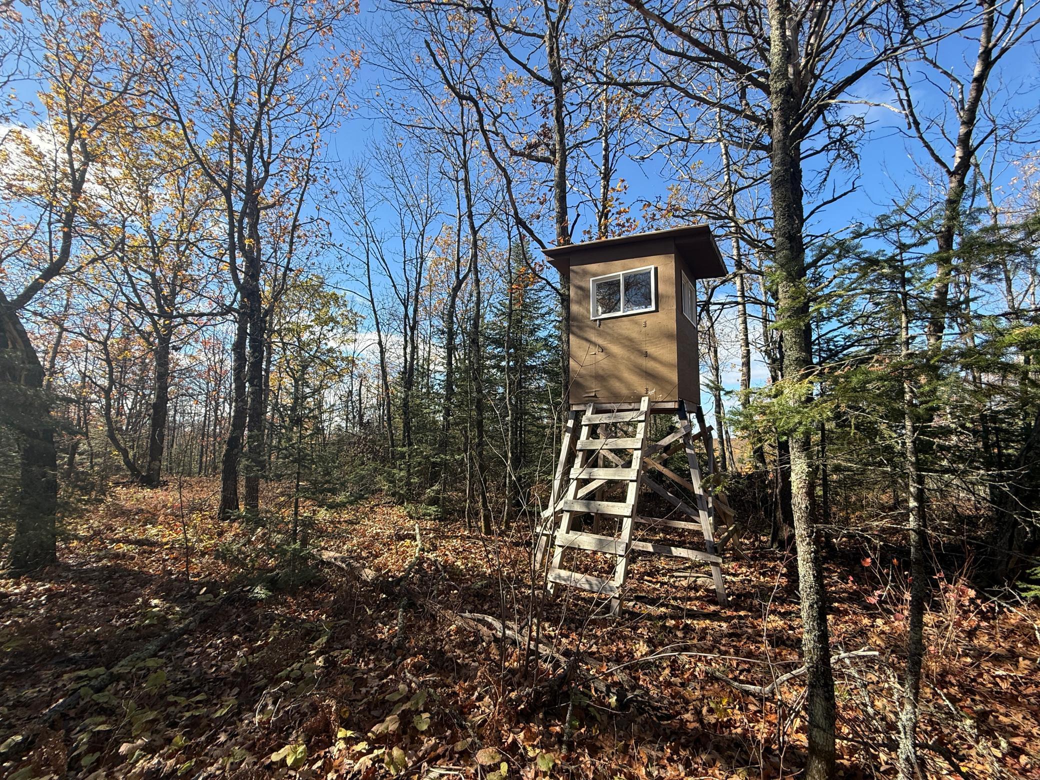 Tbd French Road Chisholm, MN 55719 - Photo 31 of 104
