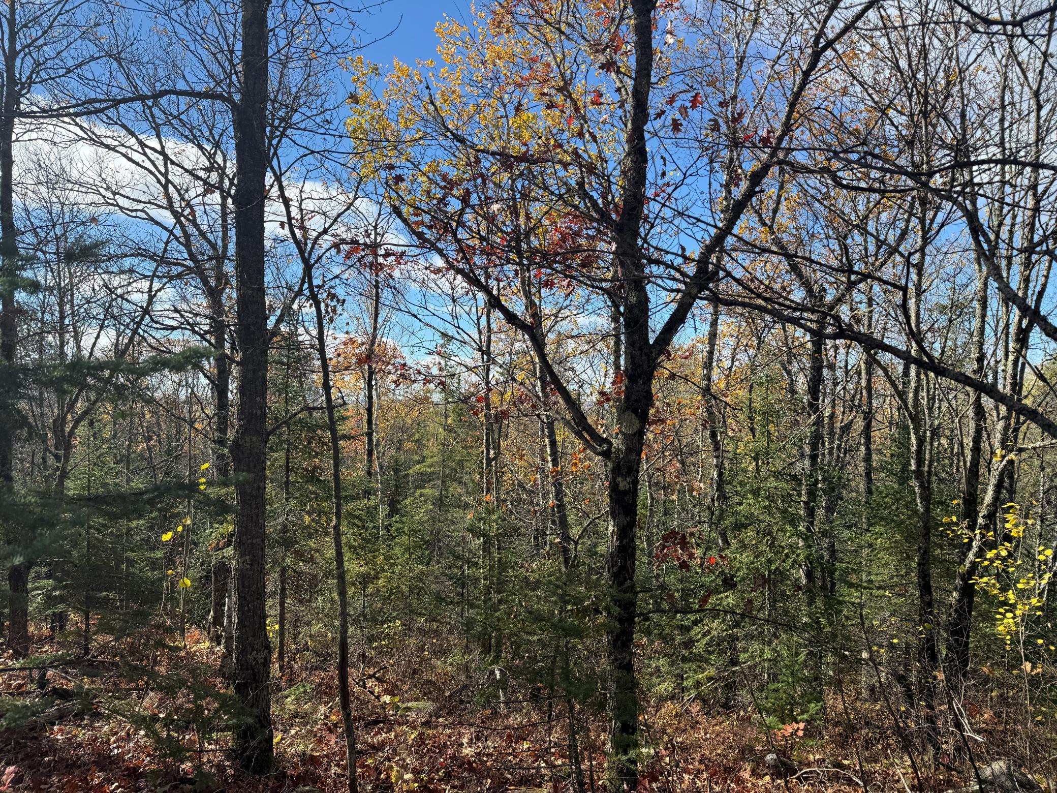 Tbd French Road Chisholm, MN 55719 - Photo 36 of 104