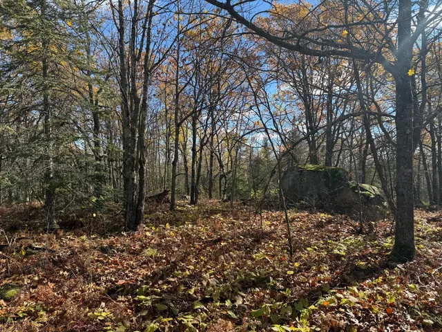 $480,000 | Tbd French Road, Chisholm, MN 55719