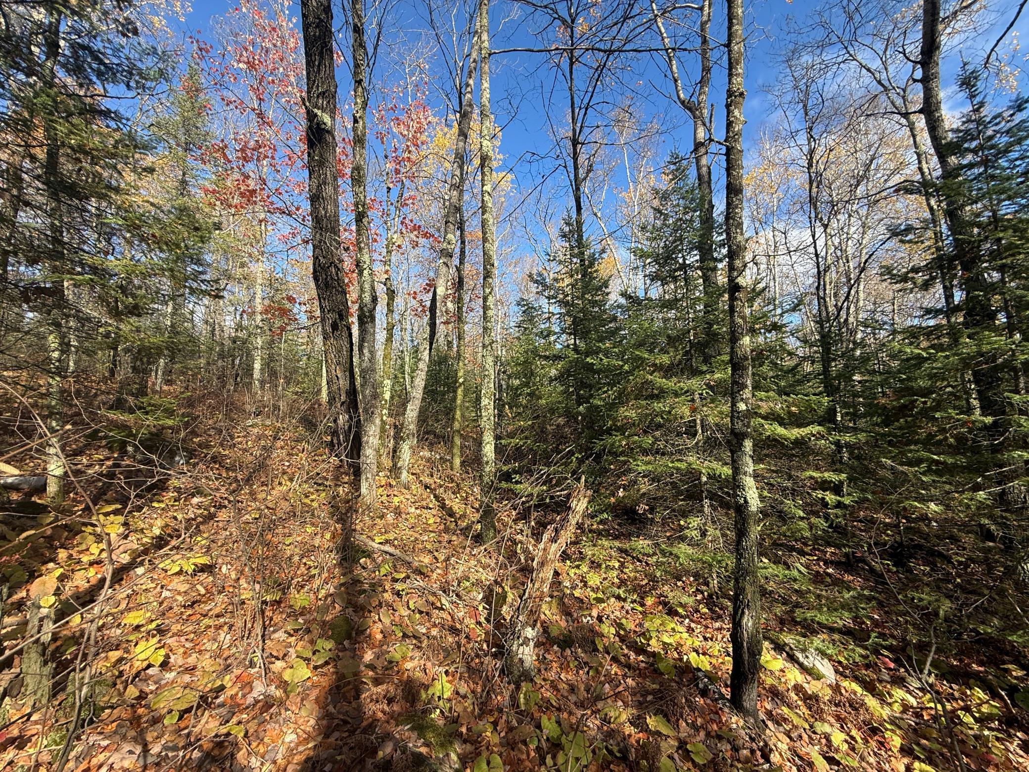 Tbd French Road Chisholm, MN 55719 - Photo 40 of 104