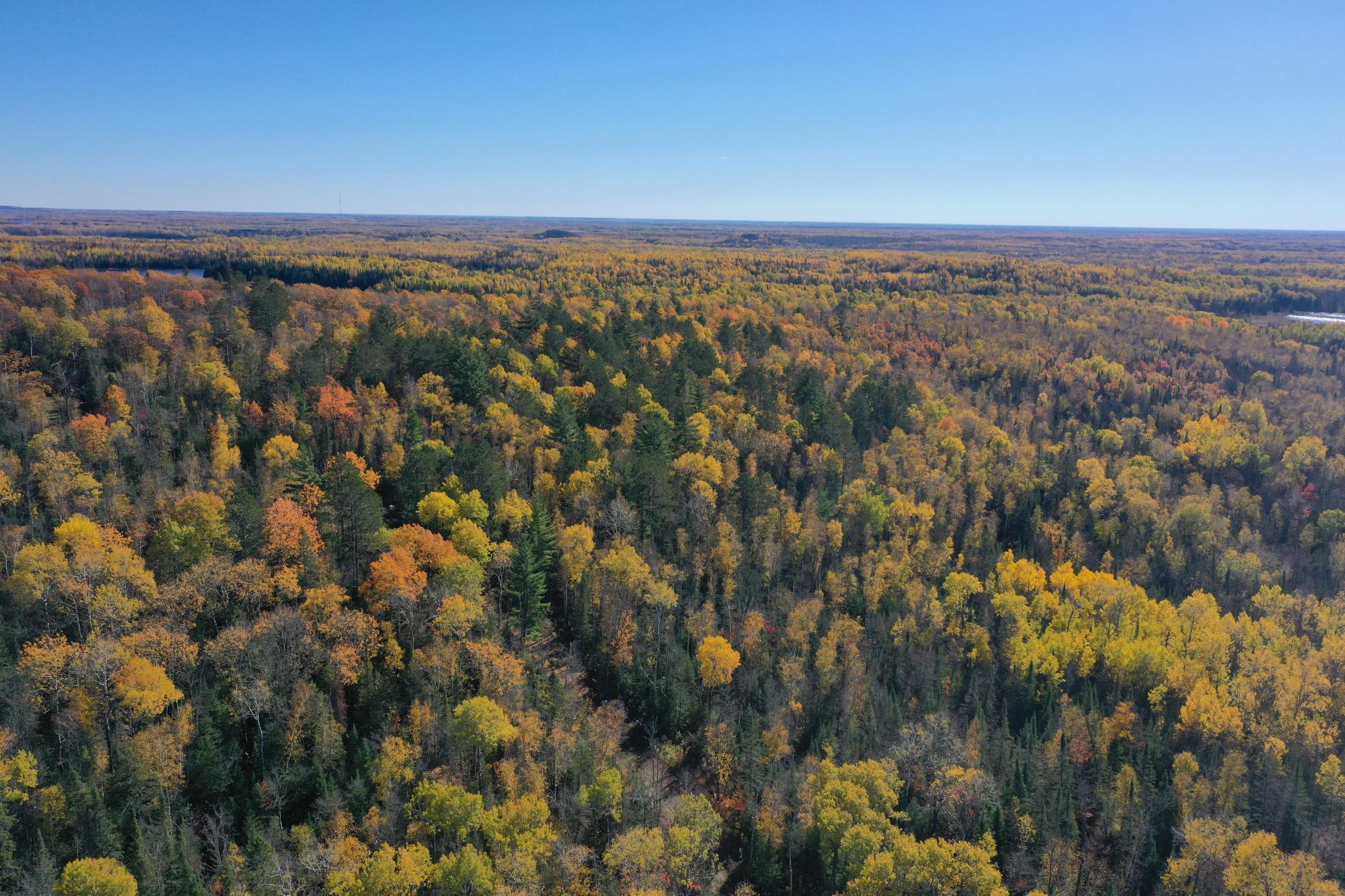 Tbd French Road Chisholm, MN 55719 - Photo 4 of 104