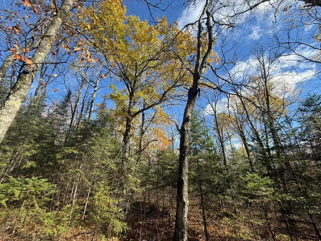 $480,000 | Tbd French Road, Chisholm, MN 55719