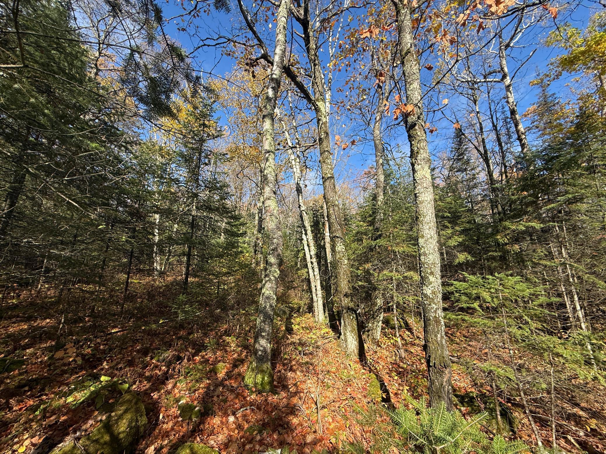 Tbd French Road Chisholm, MN 55719 - Photo 42 of 104