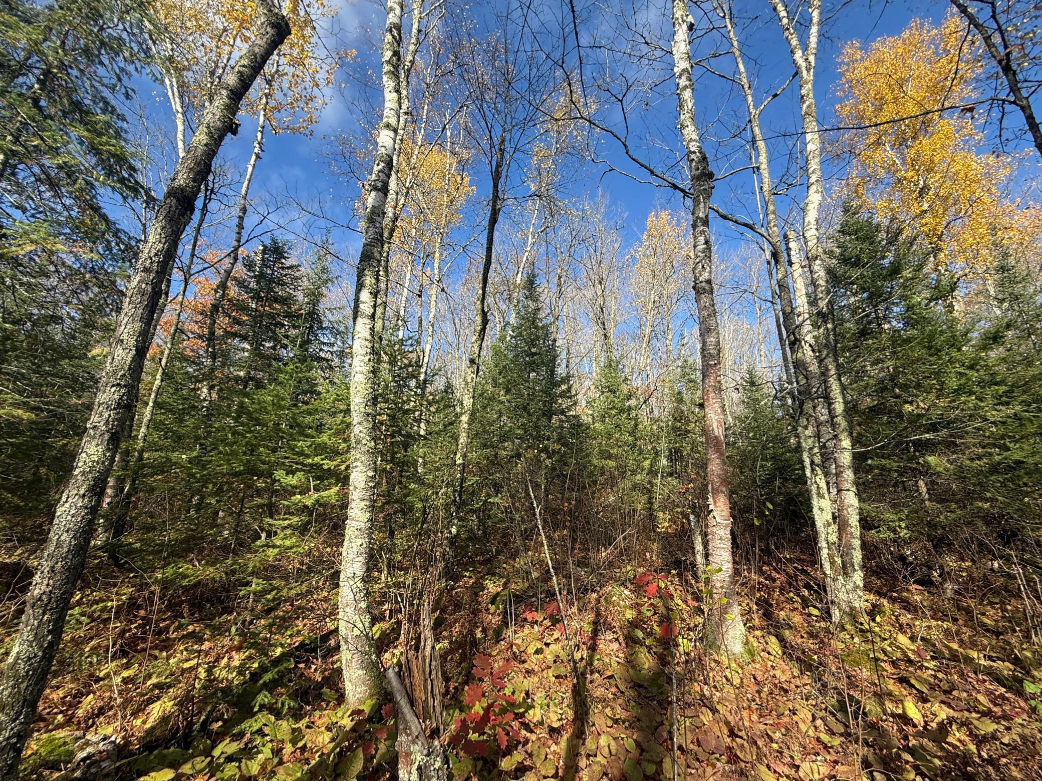 Tbd French Road Chisholm, MN 55719 - Photo 43 of 104