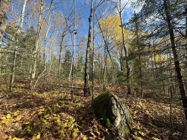 $480,000 | Tbd French Road, Chisholm, MN 55719