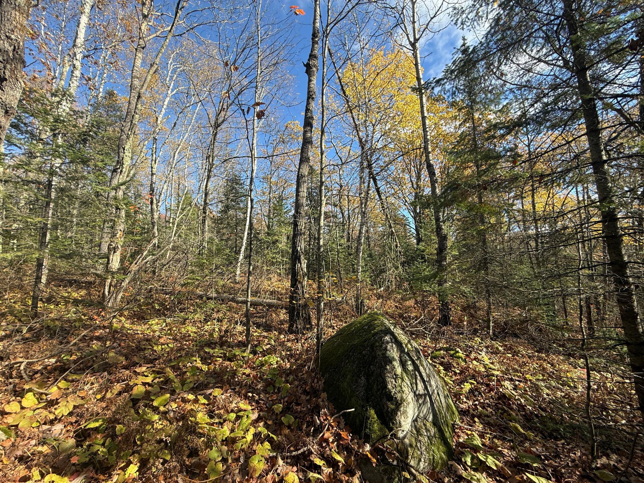 Tbd French Road Chisholm, MN 55719 - Photo 44 of 104