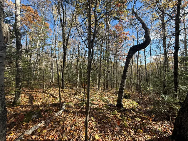 $480,000 | Tbd French Road, Chisholm, MN 55719