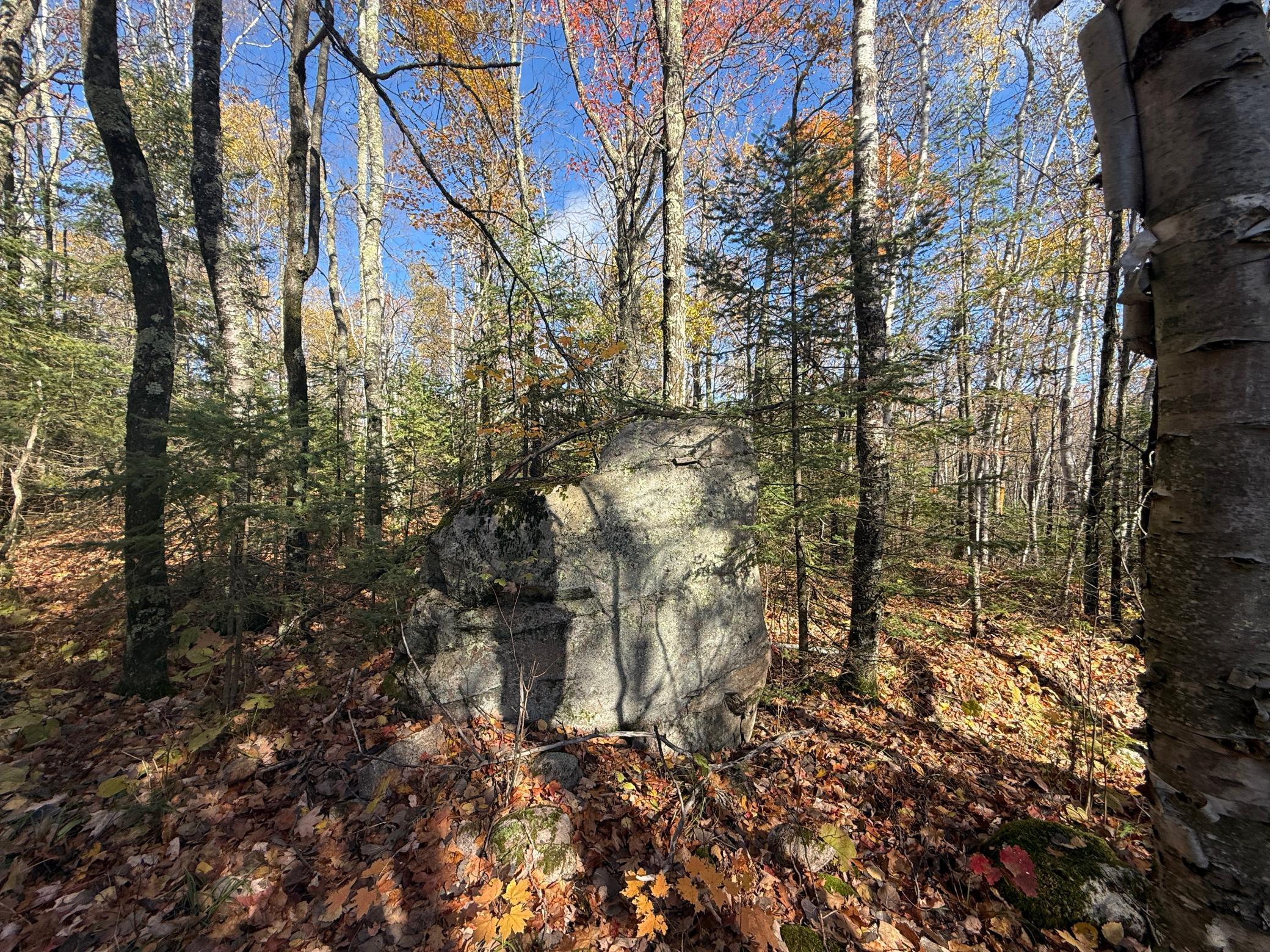 Tbd French Road Chisholm, MN 55719 - Photo 46 of 104