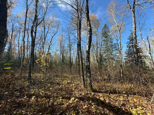 $480,000 | Tbd French Road, Chisholm, MN 55719