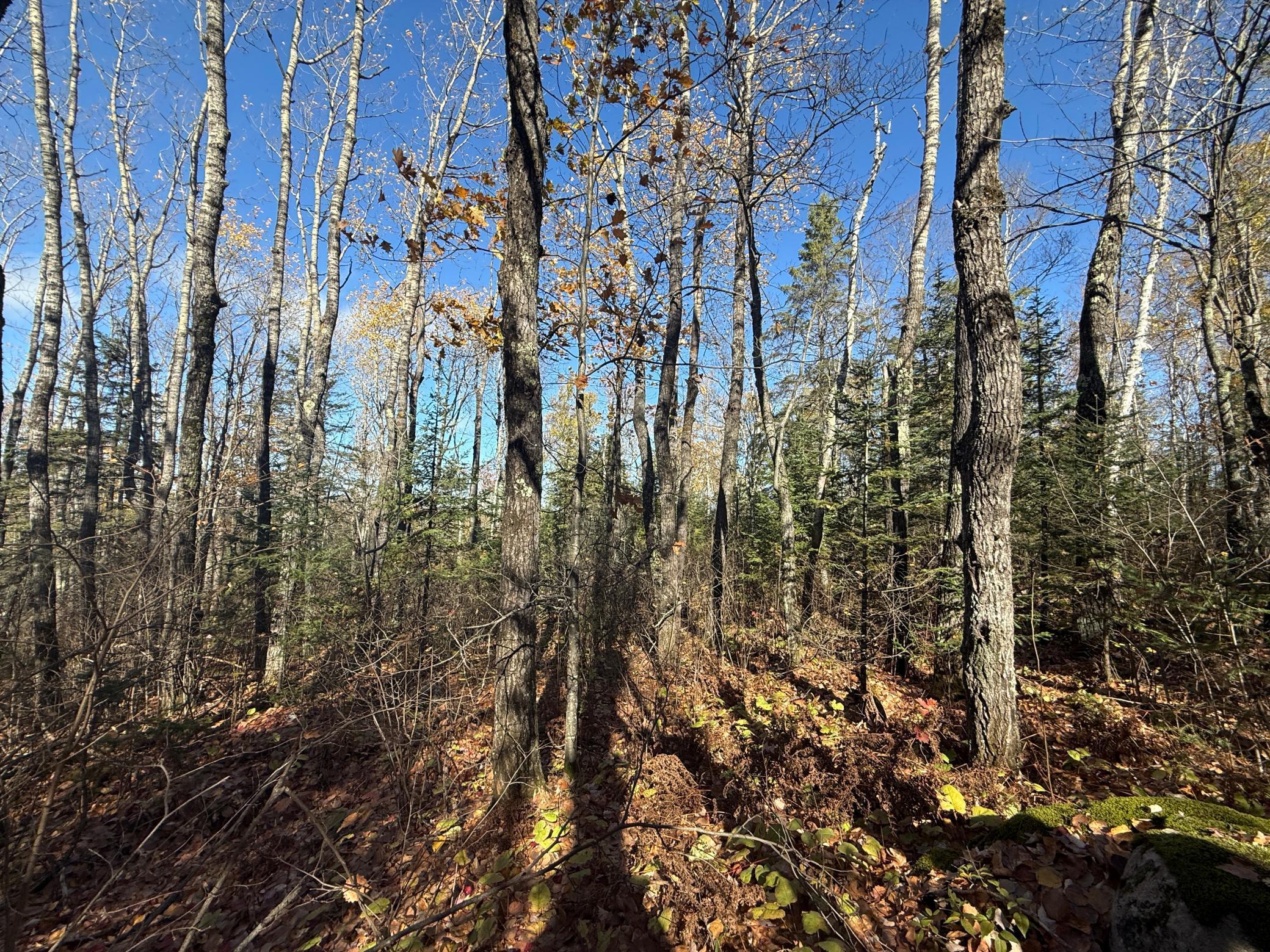 Tbd French Road Chisholm, MN 55719 - Photo 50 of 104