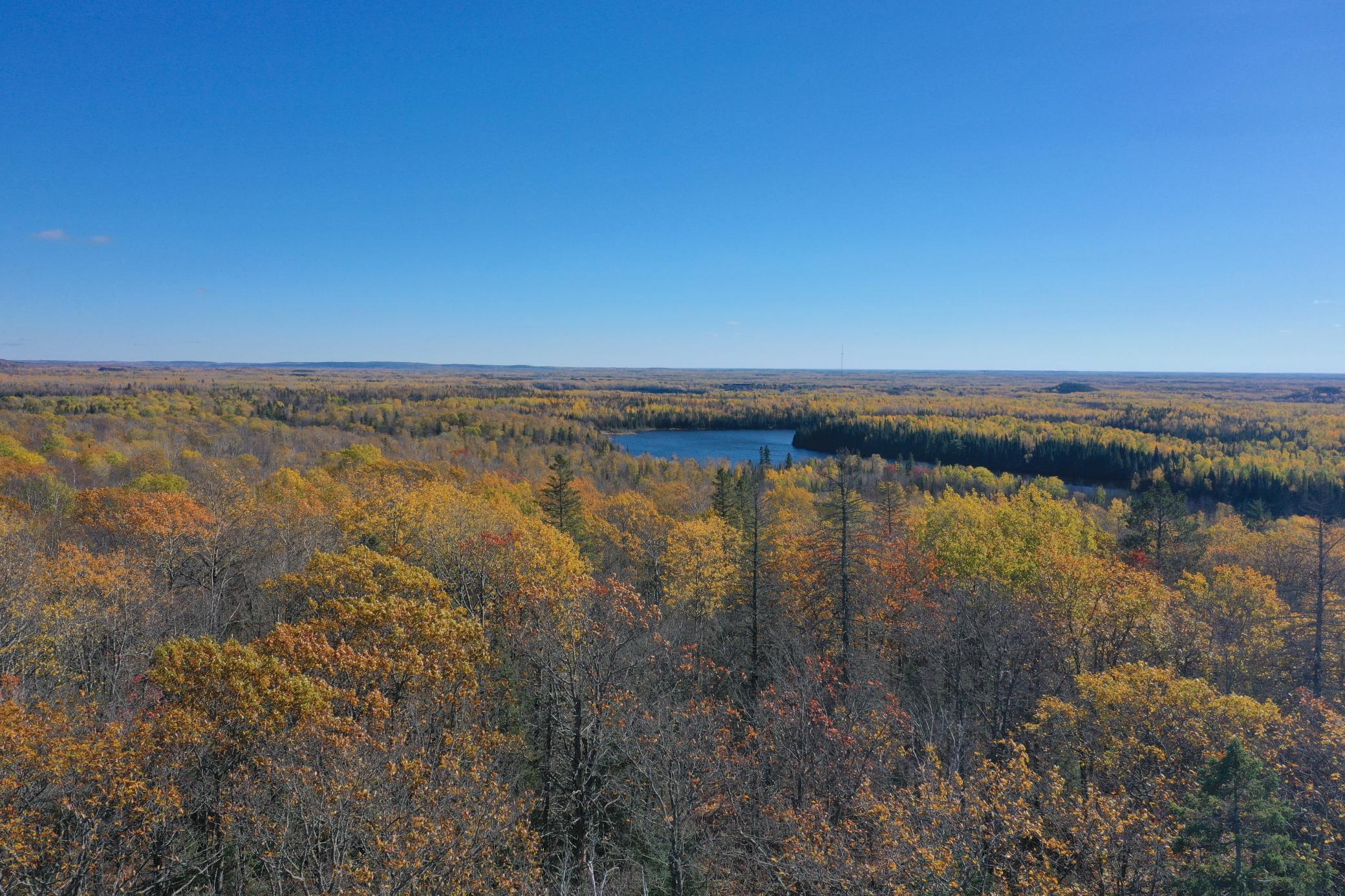 Tbd French Road Chisholm, MN 55719 - Photo 5 of 104