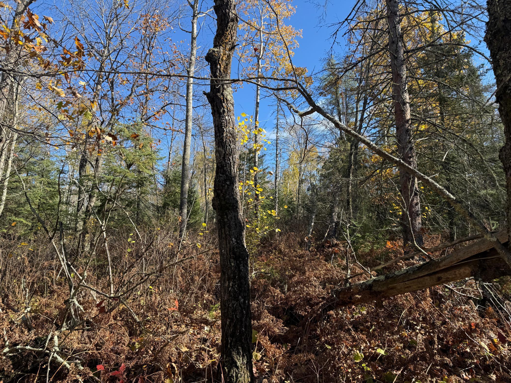 Tbd French Road Chisholm, MN 55719 - Photo 51 of 104