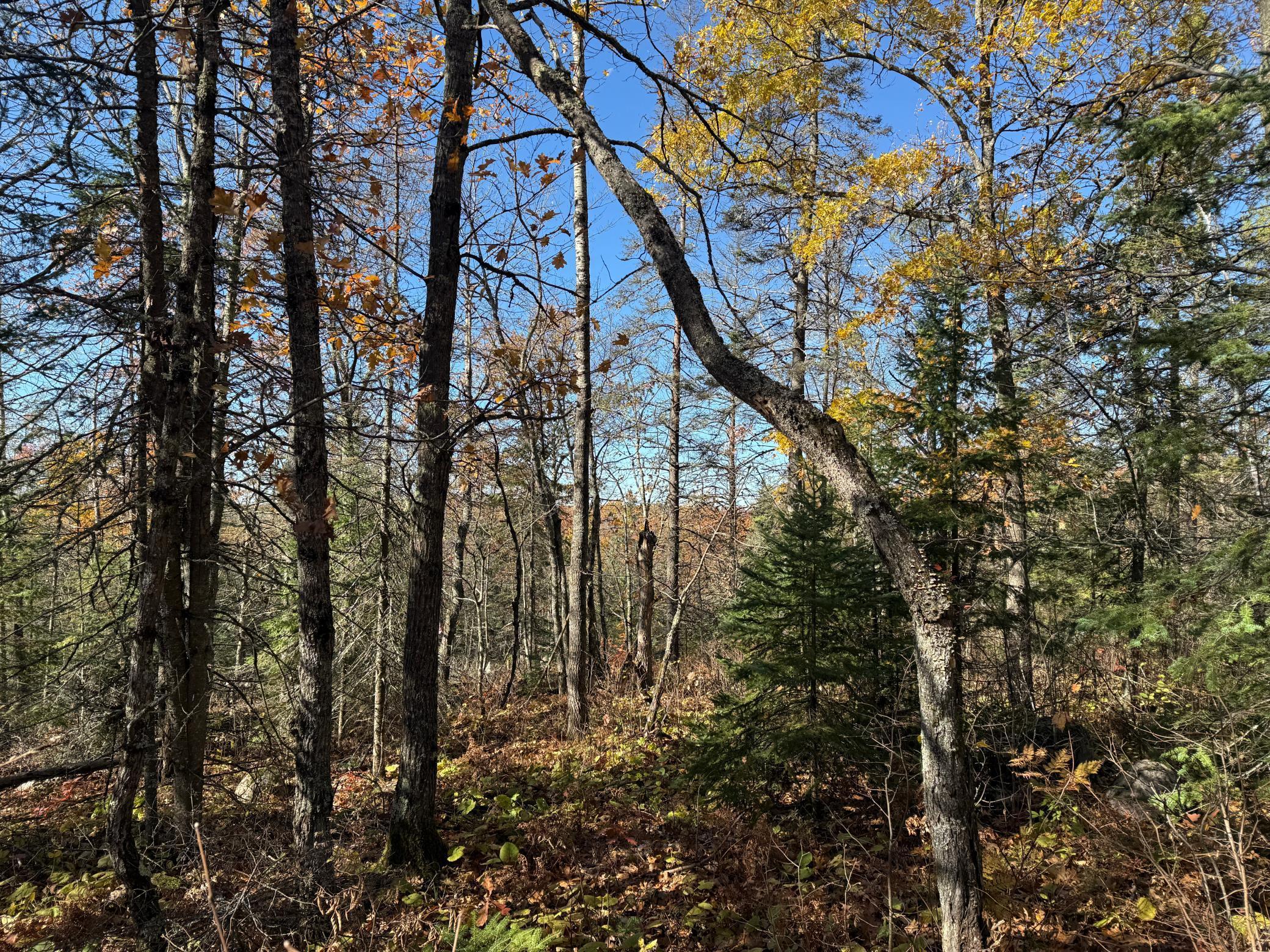 Tbd French Road Chisholm, MN 55719 - Photo 52 of 104