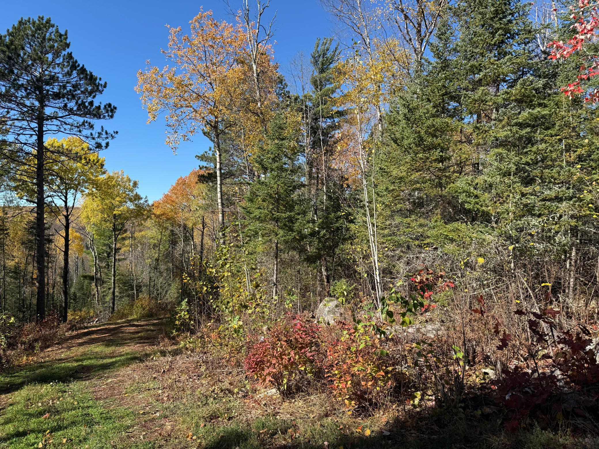 Tbd French Road Chisholm, MN 55719 - Photo 53 of 104