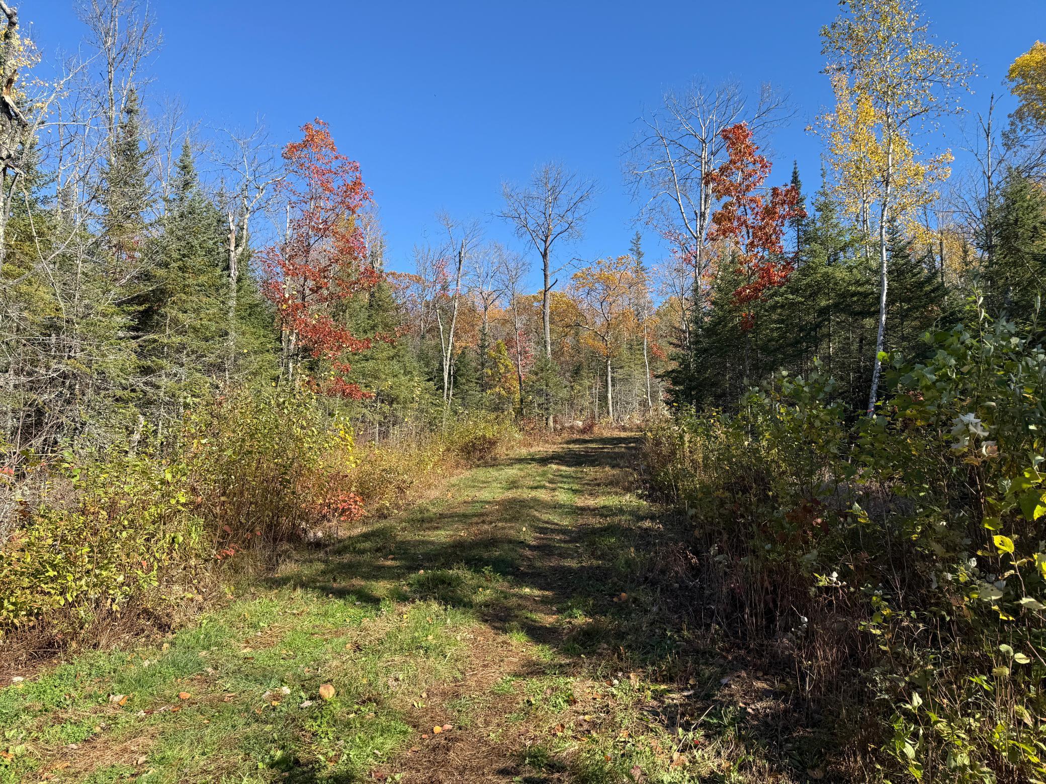 Tbd French Road Chisholm, MN 55719 - Photo 54 of 104