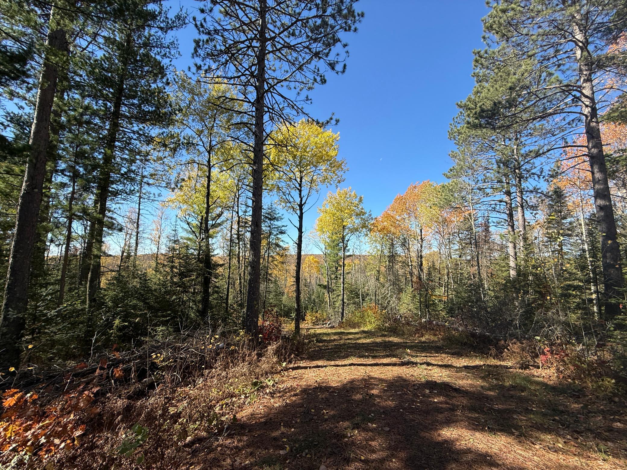 Tbd French Road Chisholm, MN 55719 - Photo 55 of 104