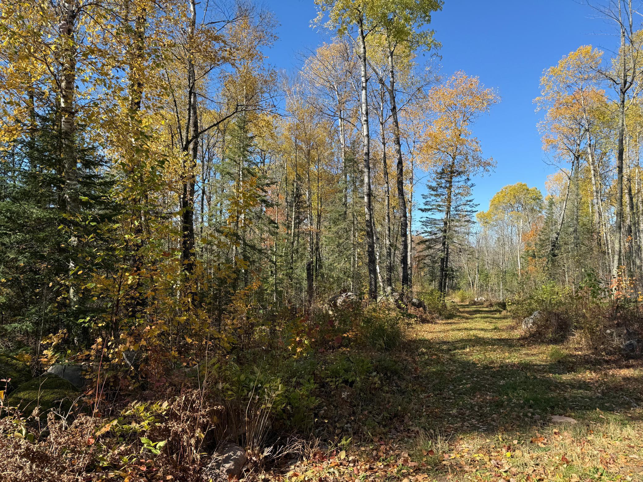 Tbd French Road Chisholm, MN 55719 - Photo 56 of 104