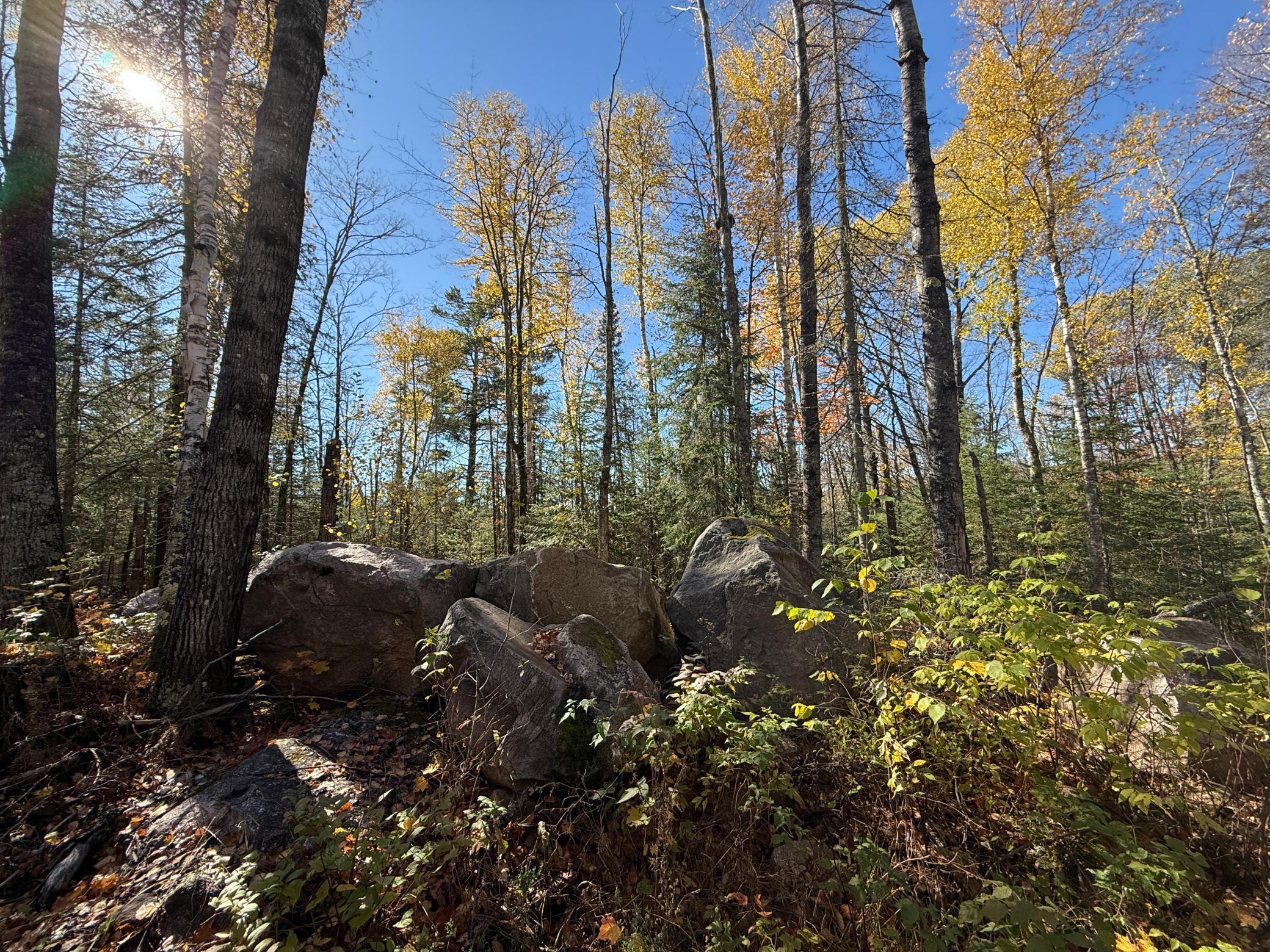 Tbd French Road Chisholm, MN 55719 - Photo 57 of 104