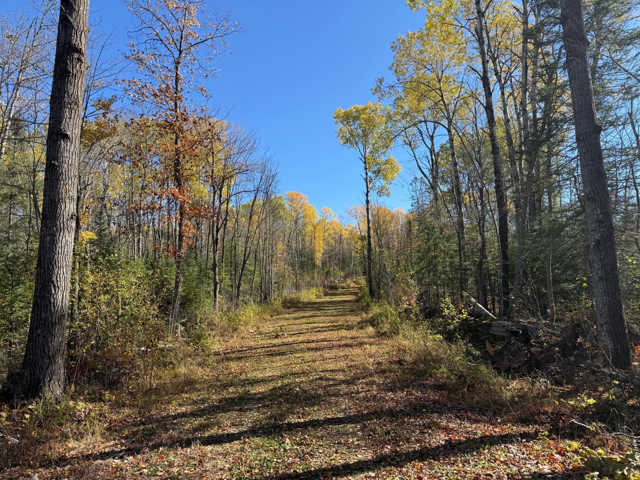 Tbd French Road Chisholm, MN 55719 - Photo 58 of 104