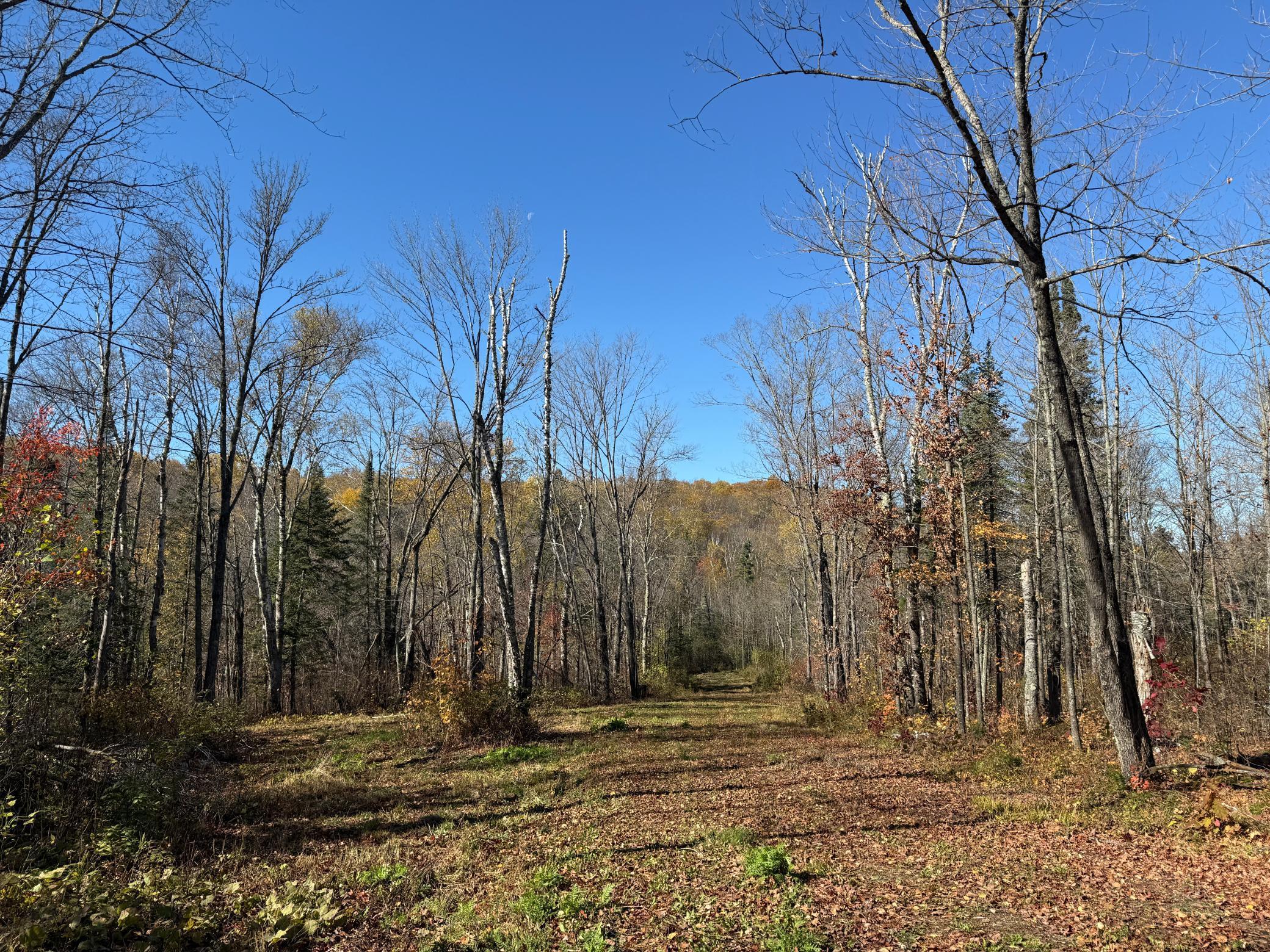 Tbd French Road Chisholm, MN 55719 - Photo 59 of 104