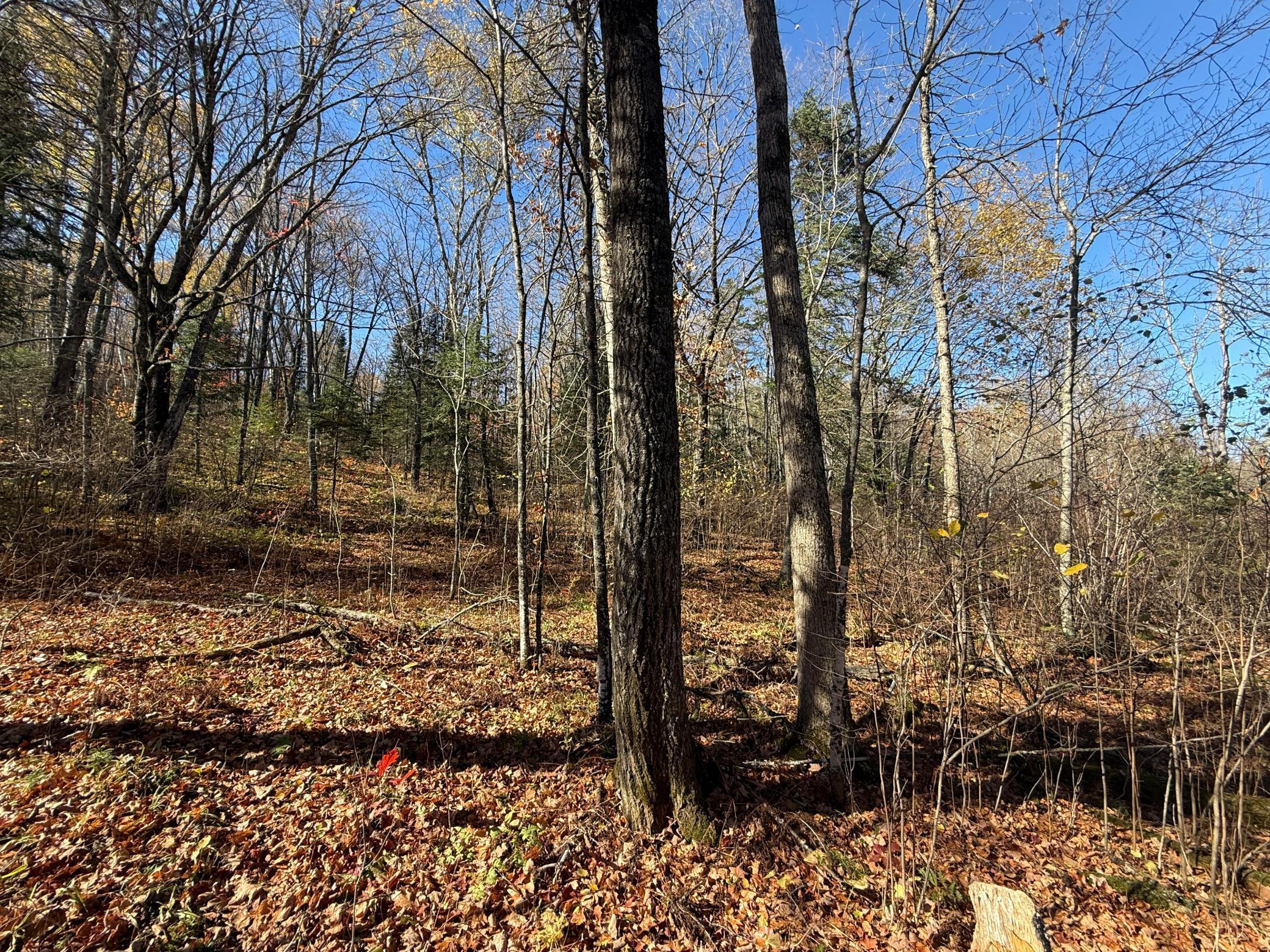 Tbd French Road Chisholm, MN 55719 - Photo 60 of 104