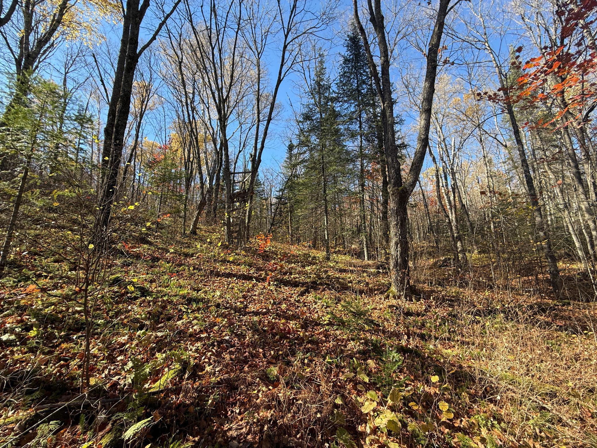 Tbd French Road Chisholm, MN 55719 - Photo 61 of 104