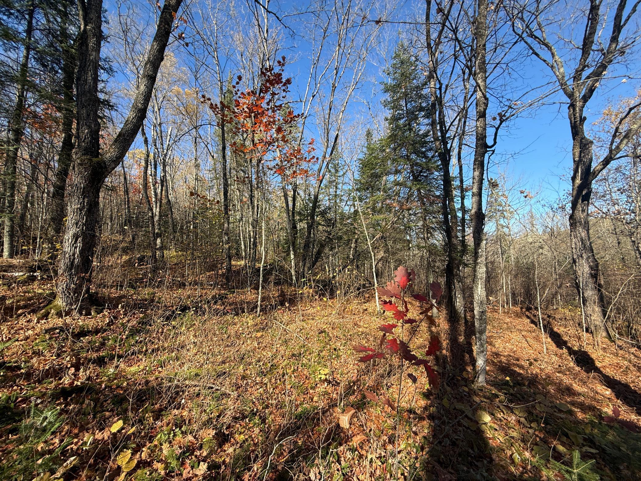 Tbd French Road Chisholm, MN 55719 - Photo 62 of 104