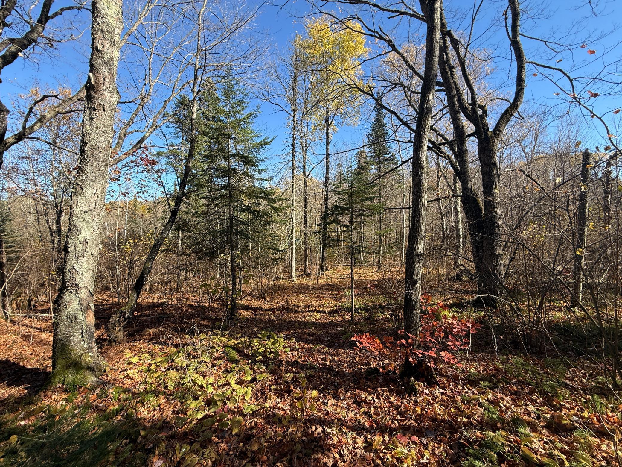 Tbd French Road Chisholm, MN 55719 - Photo 63 of 104