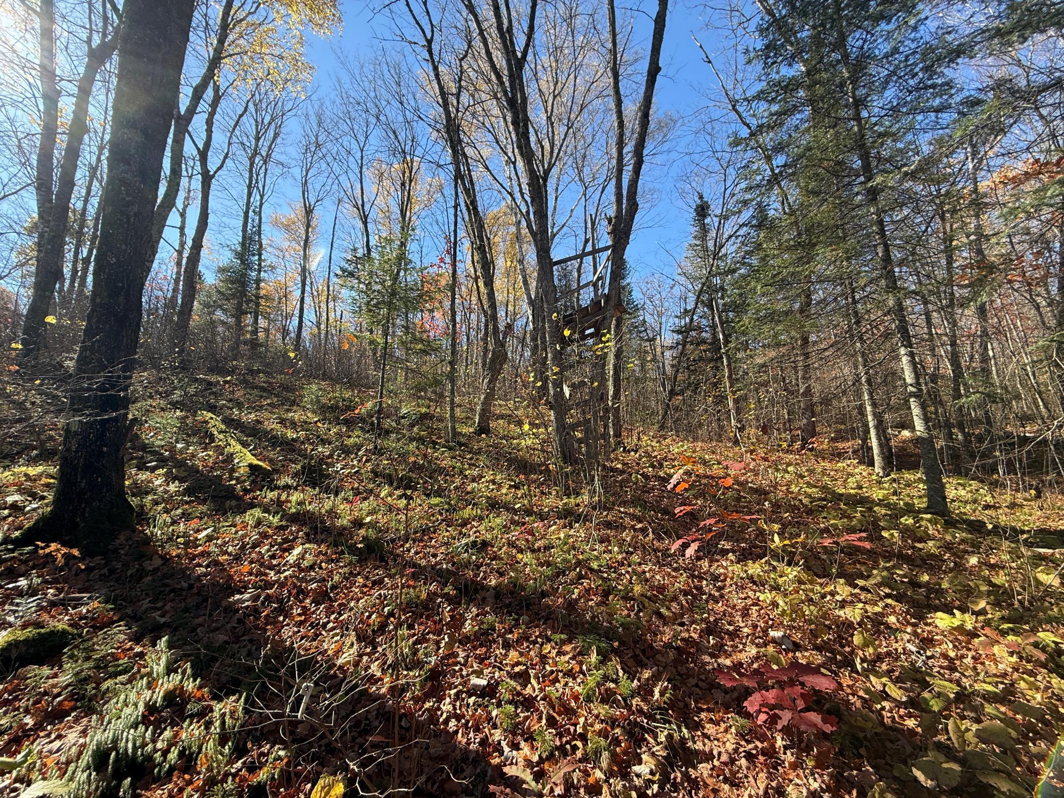 Tbd French Road Chisholm, MN 55719 - Photo 64 of 104