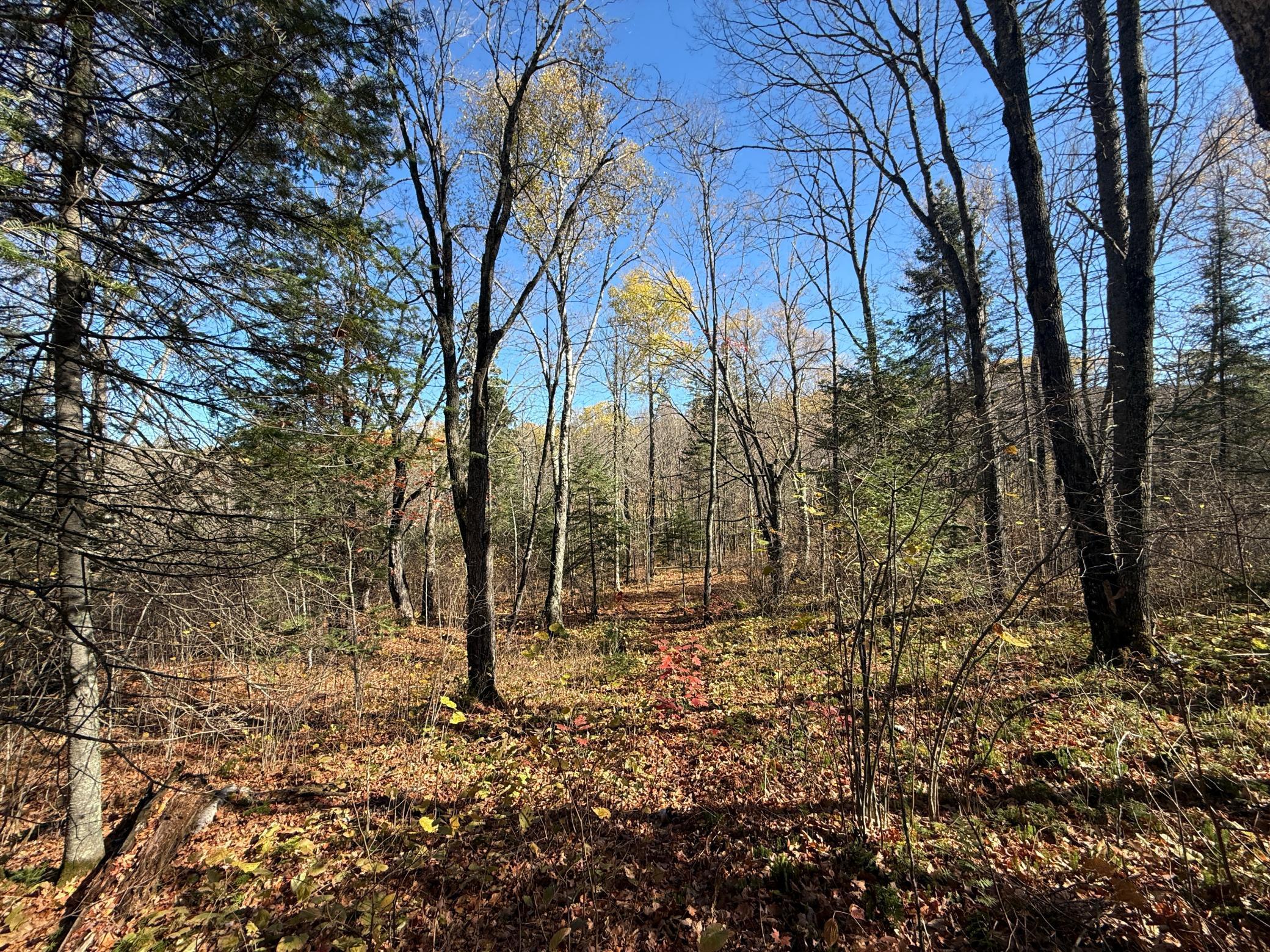 Tbd French Road Chisholm, MN 55719 - Photo 65 of 104