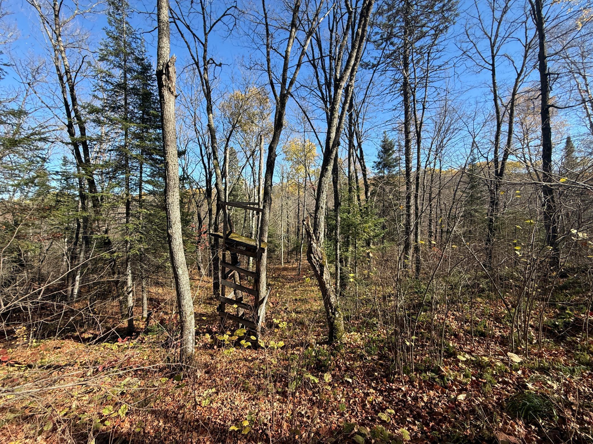 Tbd French Road Chisholm, MN 55719 - Photo 66 of 104