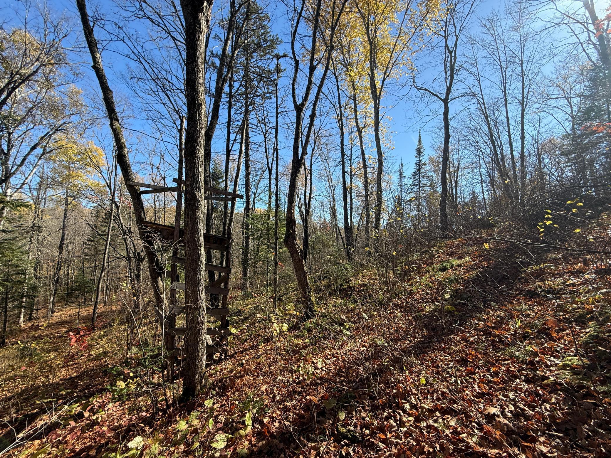 Tbd French Road Chisholm, MN 55719 - Photo 67 of 104