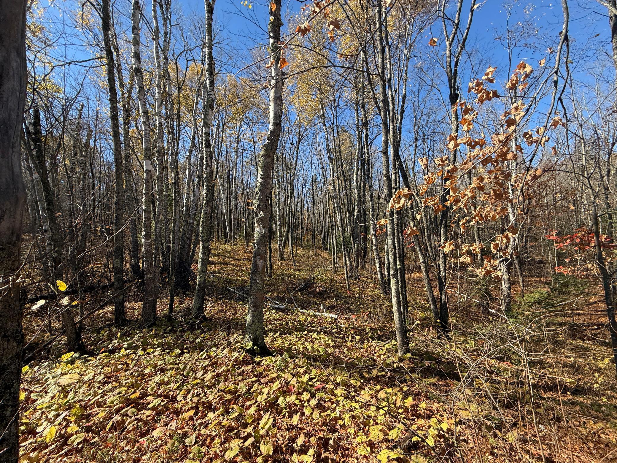 Tbd French Road Chisholm, MN 55719 - Photo 68 of 104