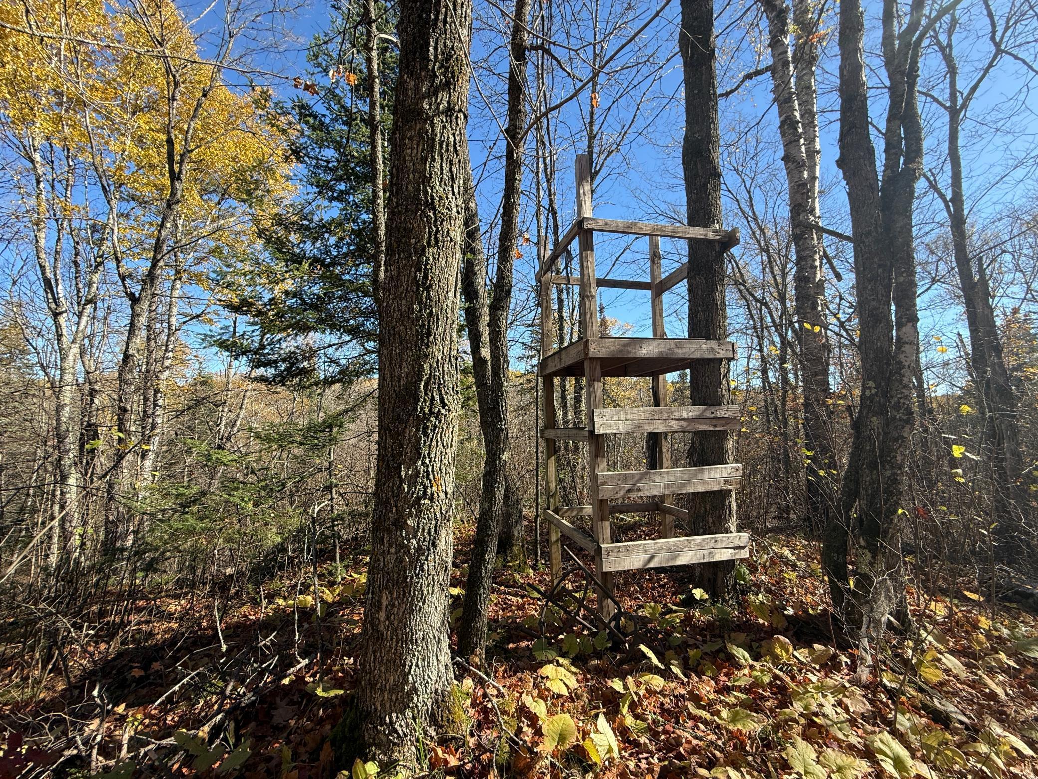 Tbd French Road Chisholm, MN 55719 - Photo 69 of 104