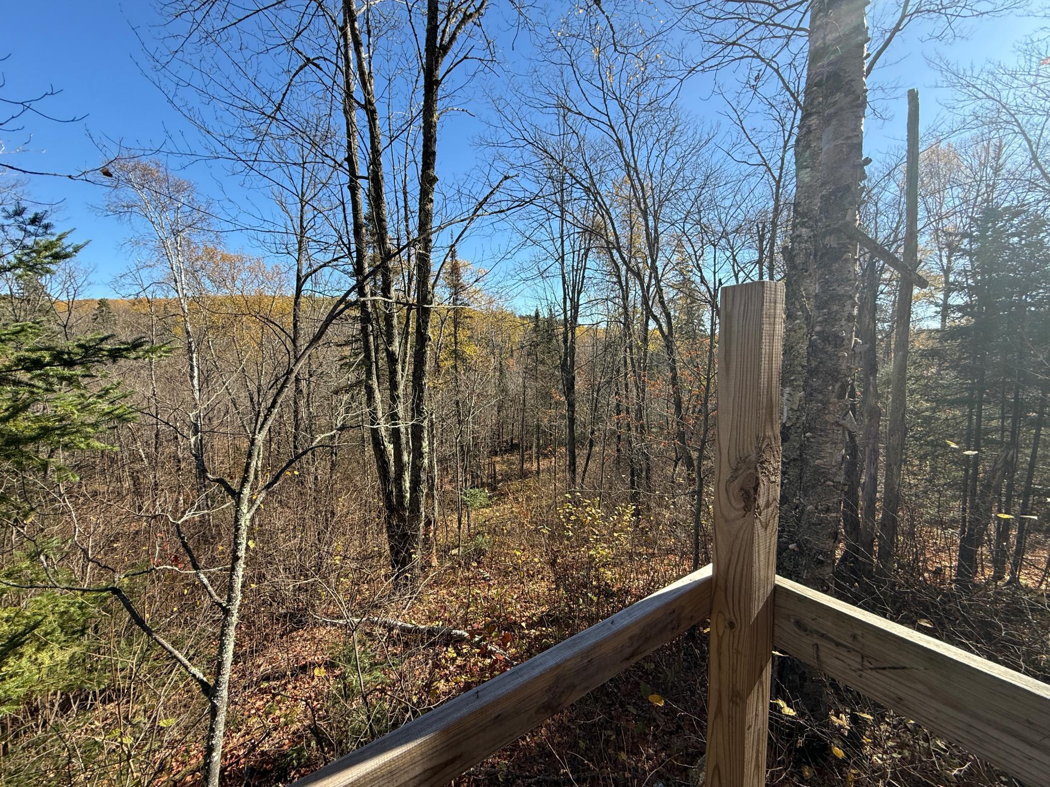 Tbd French Road Chisholm, MN 55719 - Photo 70 of 104