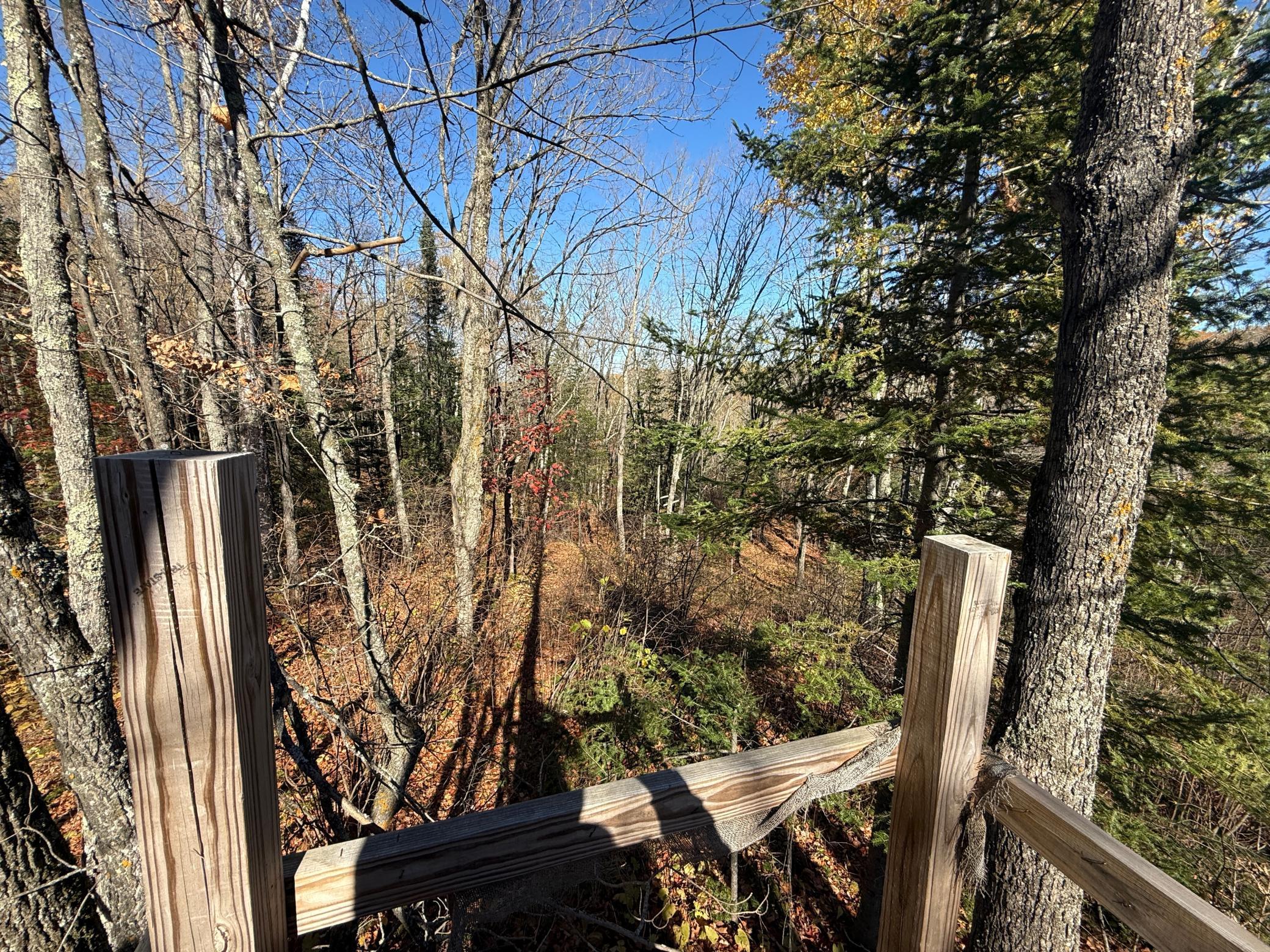 Tbd French Road Chisholm, MN 55719 - Photo 71 of 104