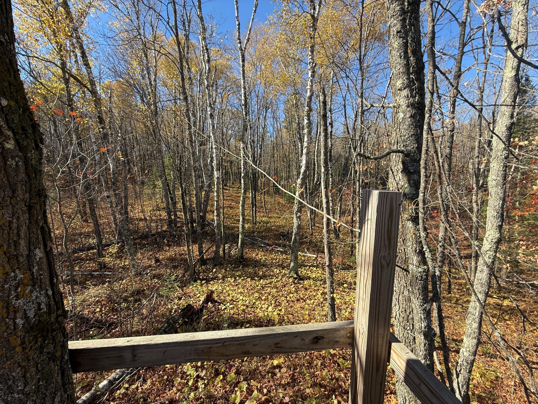 Tbd French Road Chisholm, MN 55719 - Photo 72 of 104