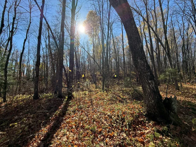 $480,000 | Tbd French Road, Chisholm, MN 55719