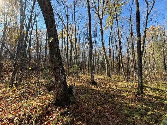 $480,000 | Tbd French Road, Chisholm, MN 55719