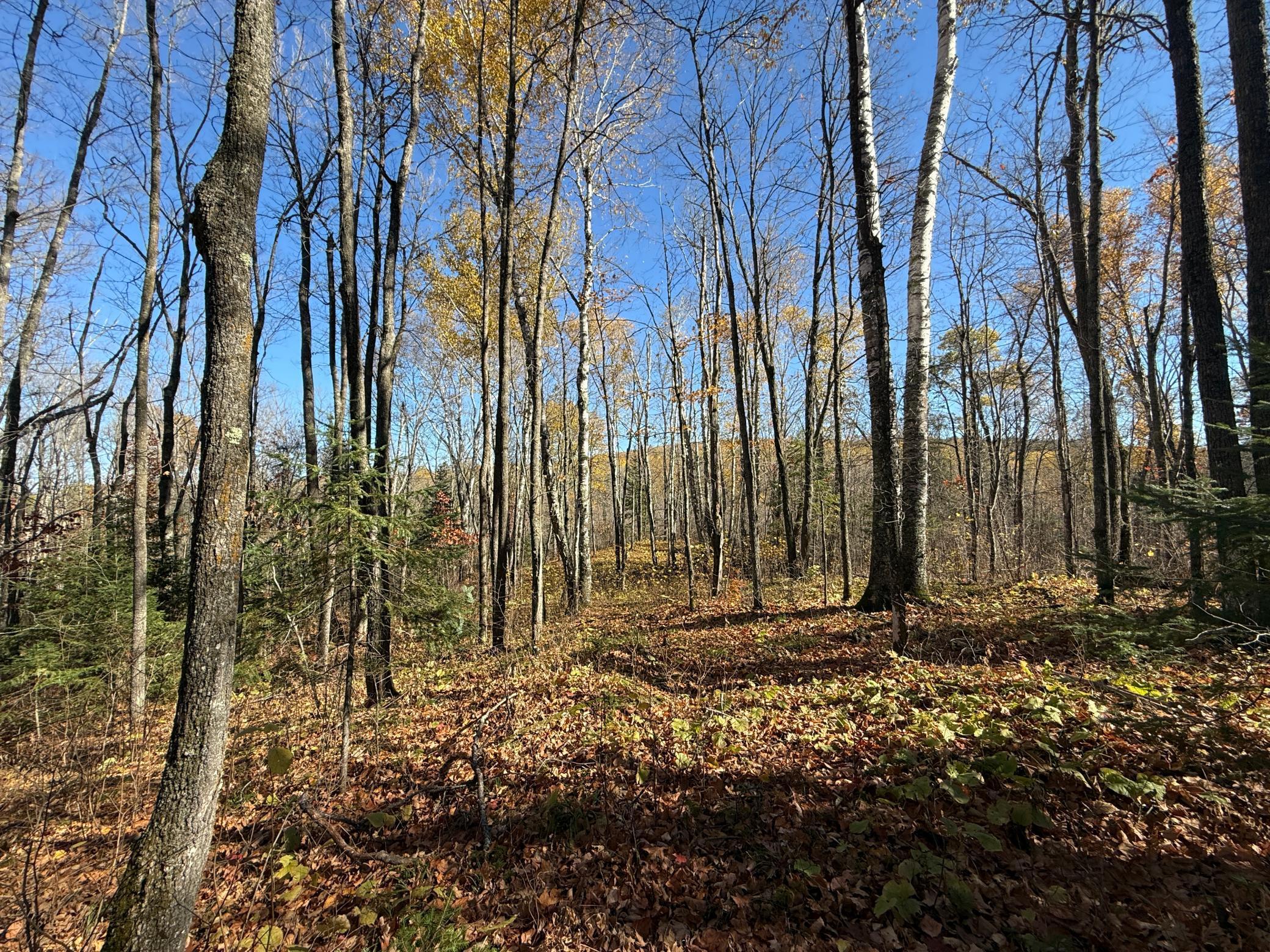Tbd French Road Chisholm, MN 55719 - Photo 75 of 104