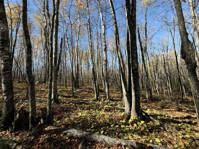 $480,000 | Tbd French Road, Chisholm, MN 55719