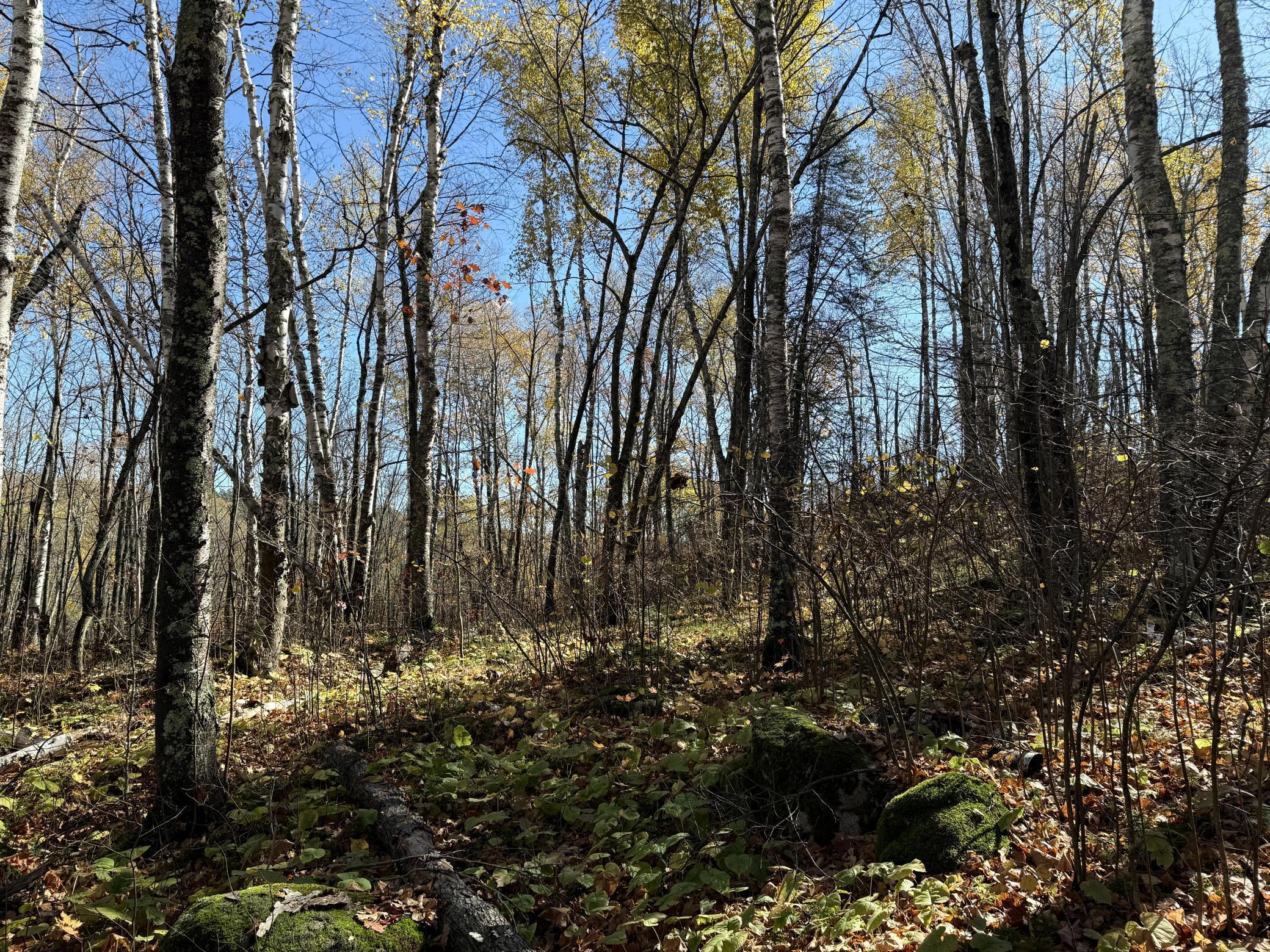 Tbd French Road Chisholm, MN 55719 - Photo 78 of 104