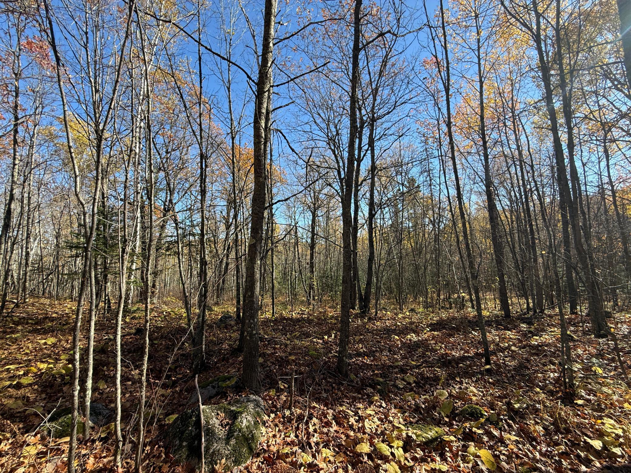 Tbd French Road Chisholm, MN 55719 - Photo 79 of 104