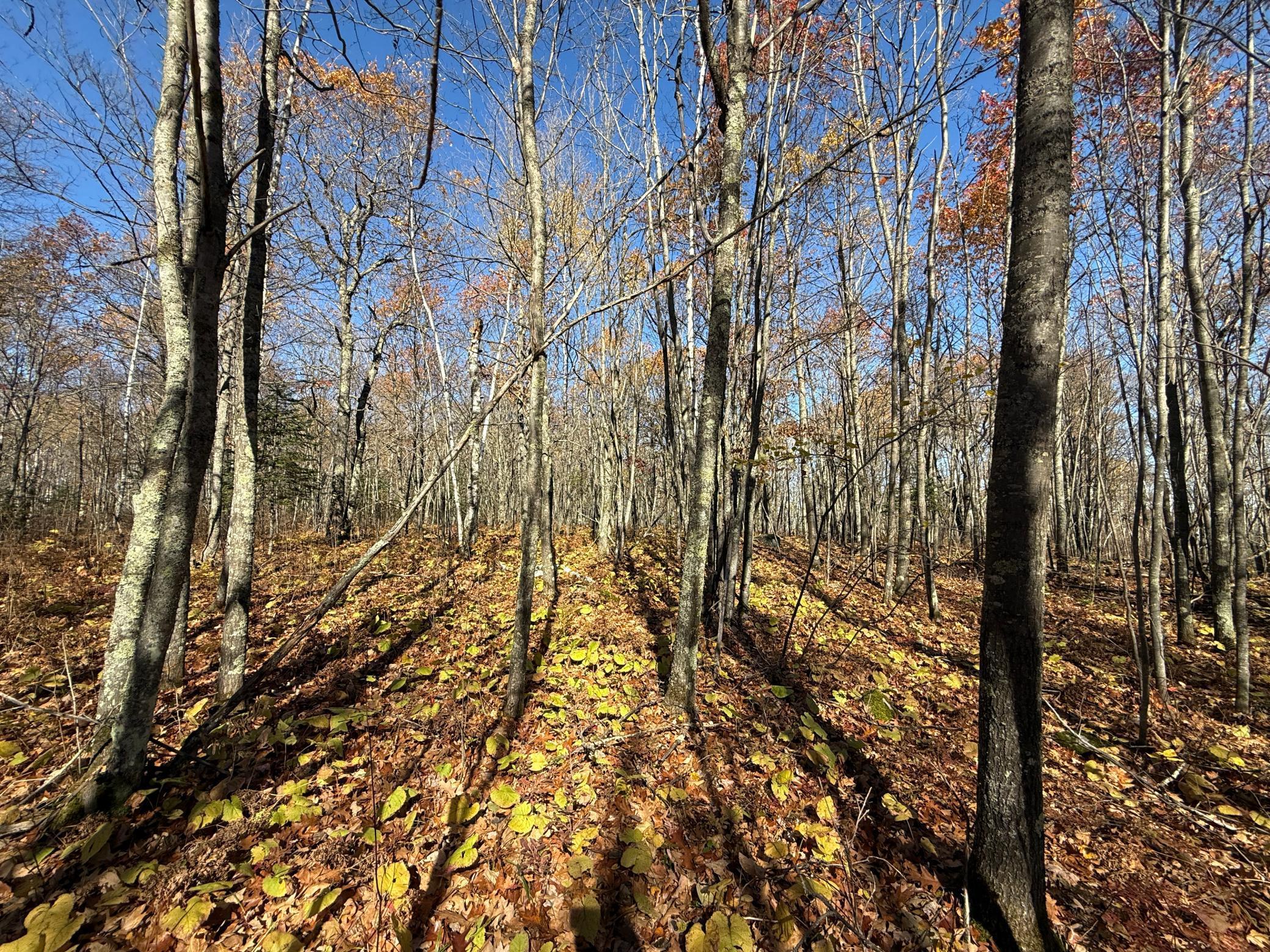 Tbd French Road Chisholm, MN 55719 - Photo 80 of 104