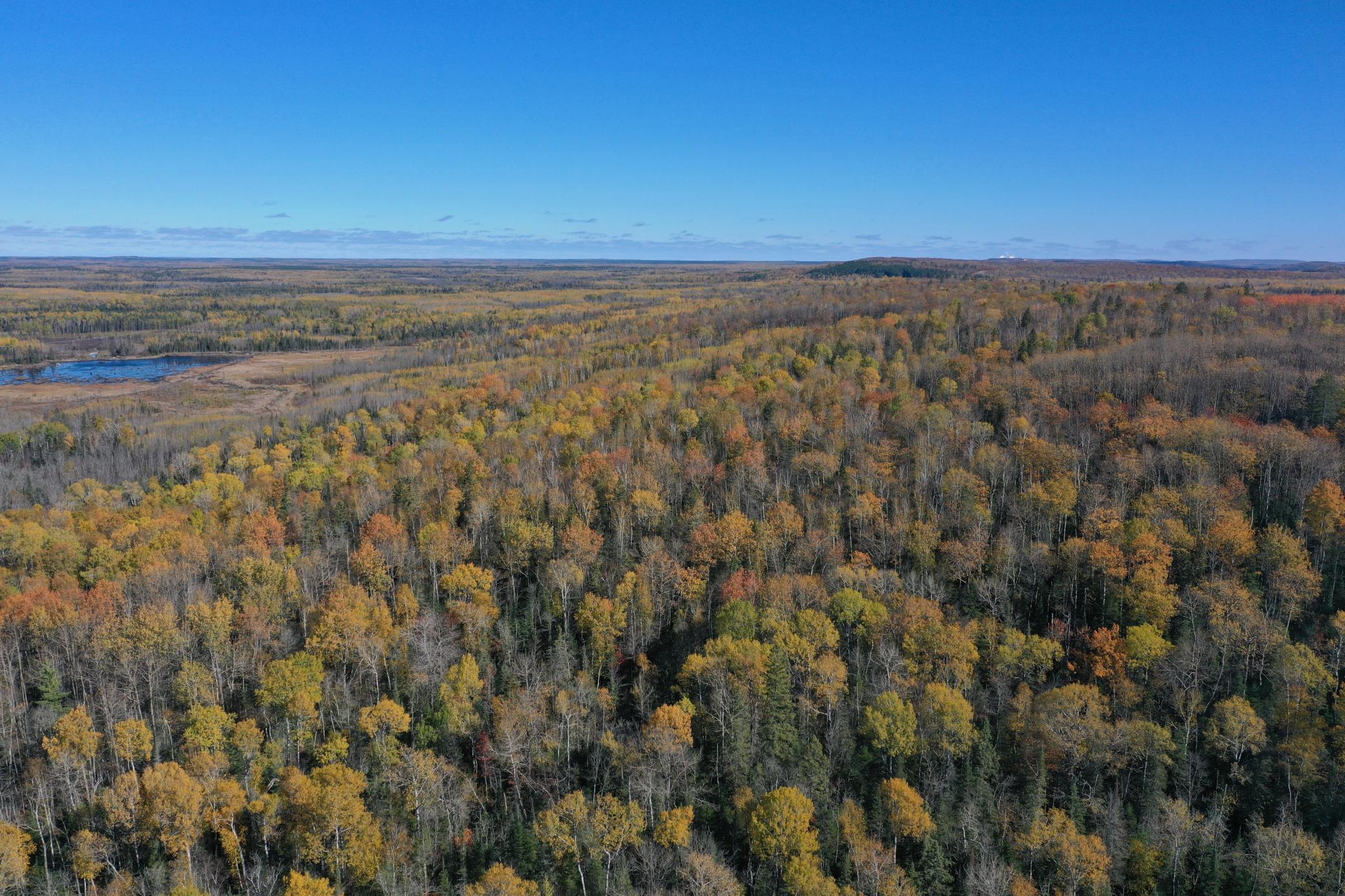 Tbd French Road Chisholm, MN 55719 - Photo 8 of 104