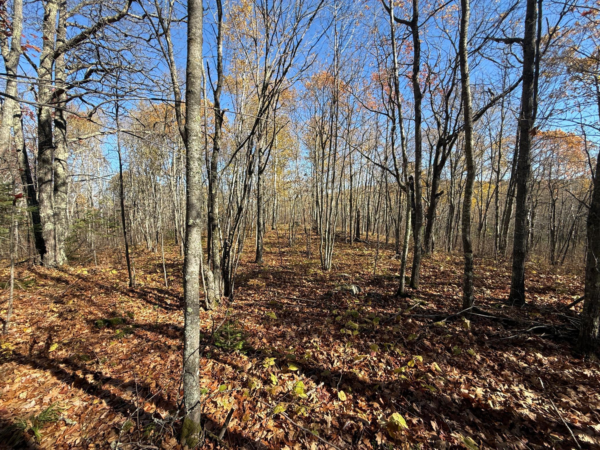 Tbd French Road Chisholm, MN 55719 - Photo 81 of 104