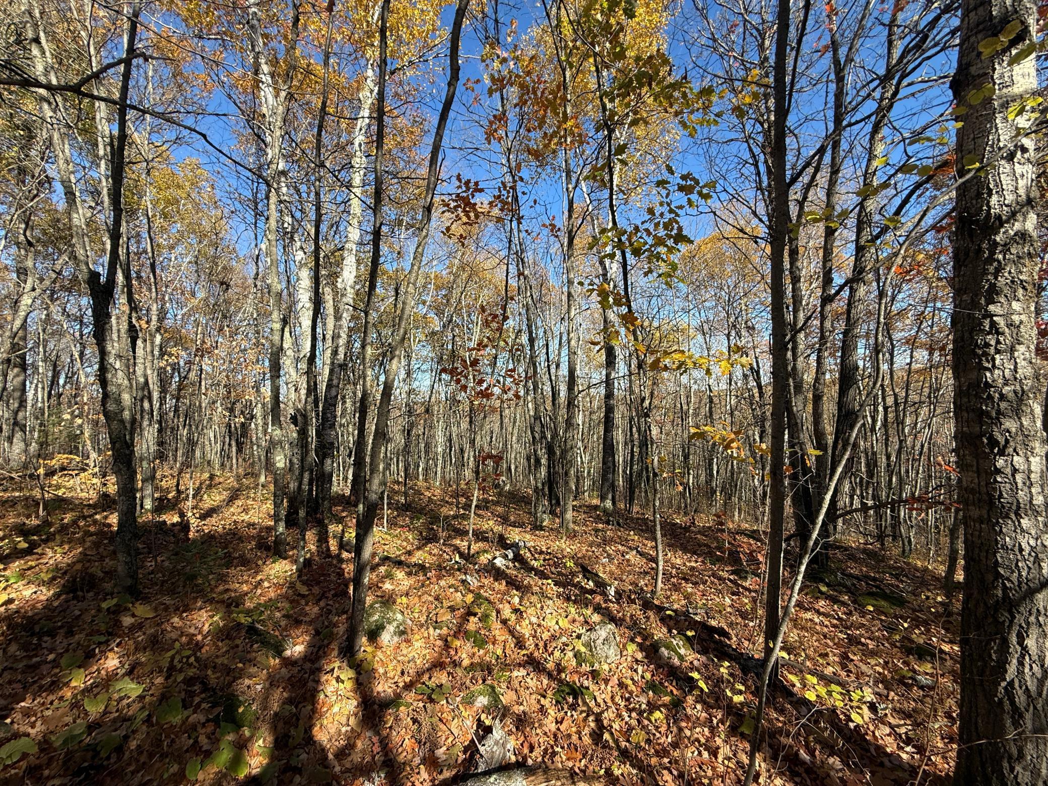 Tbd French Road Chisholm, MN 55719 - Photo 82 of 104