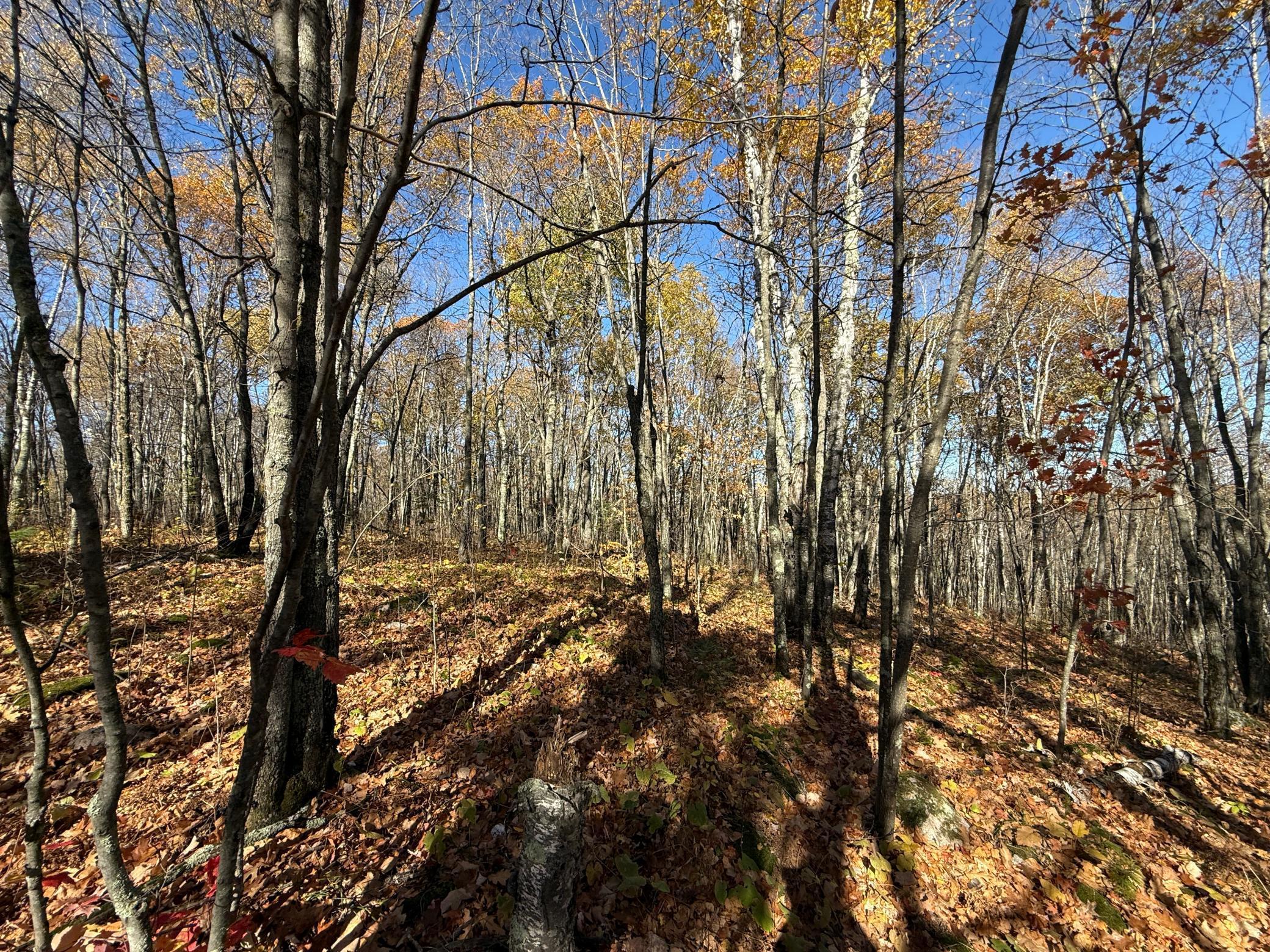 Tbd French Road Chisholm, MN 55719 - Photo 83 of 104